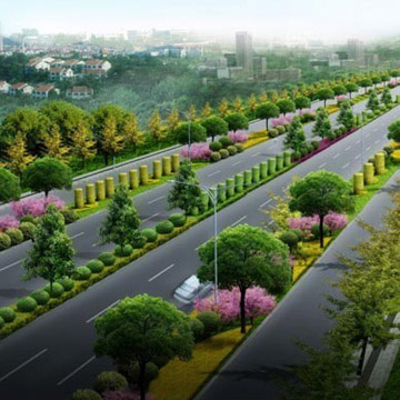 微山县林业局林场道路建设项目