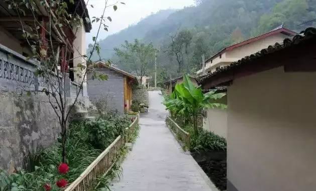 日照莒县美丽乡村改造项目