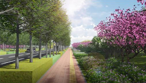 望岳路道路绿化工程