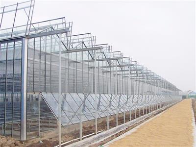20200513V6U29.jpg