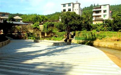 202007302Q5OS.jpg