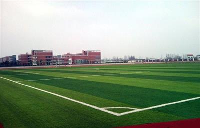 20210812OSS7O.jpg