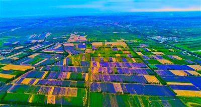 霍城县芦草沟晒场建设项目.jpg